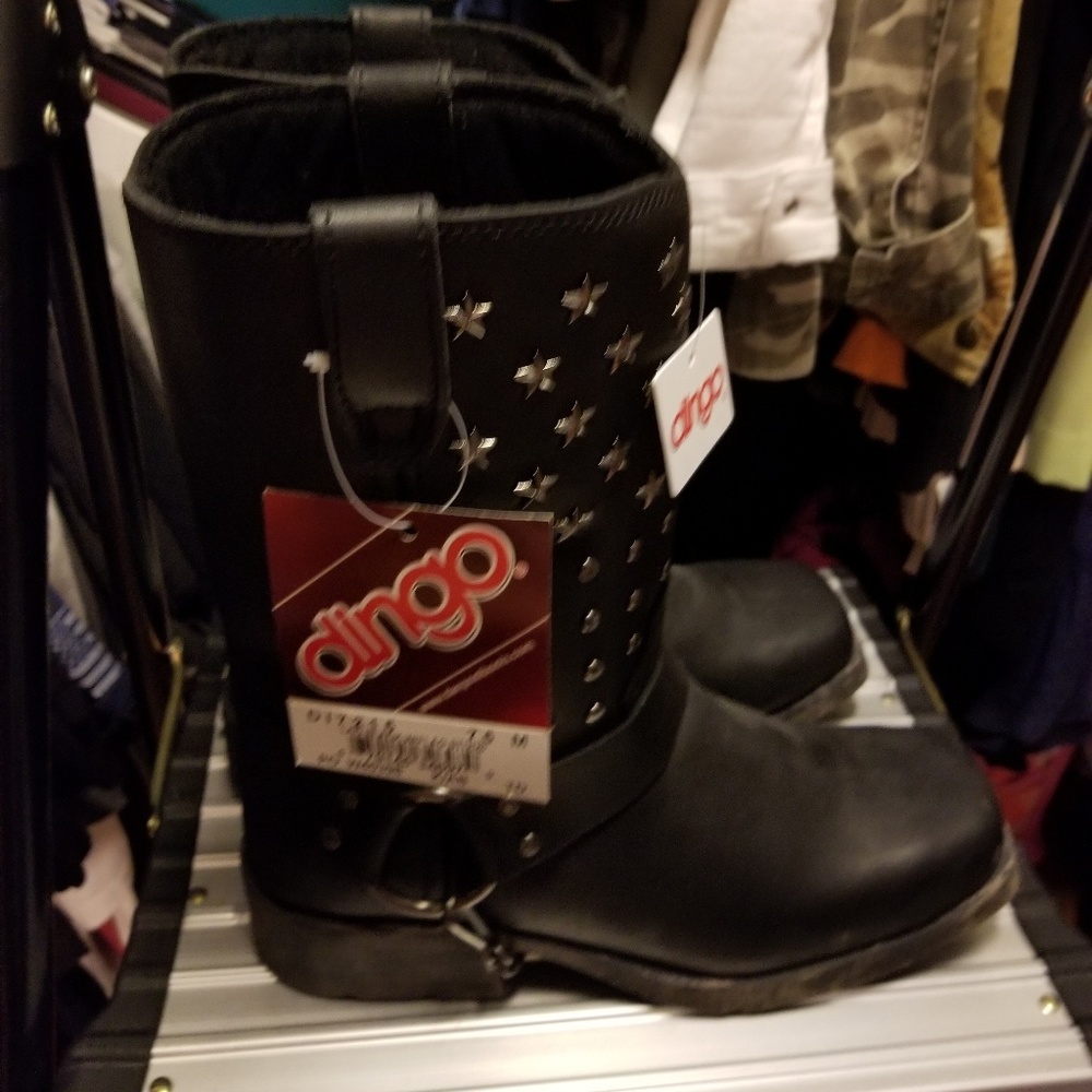 Nwt Dingo Boots